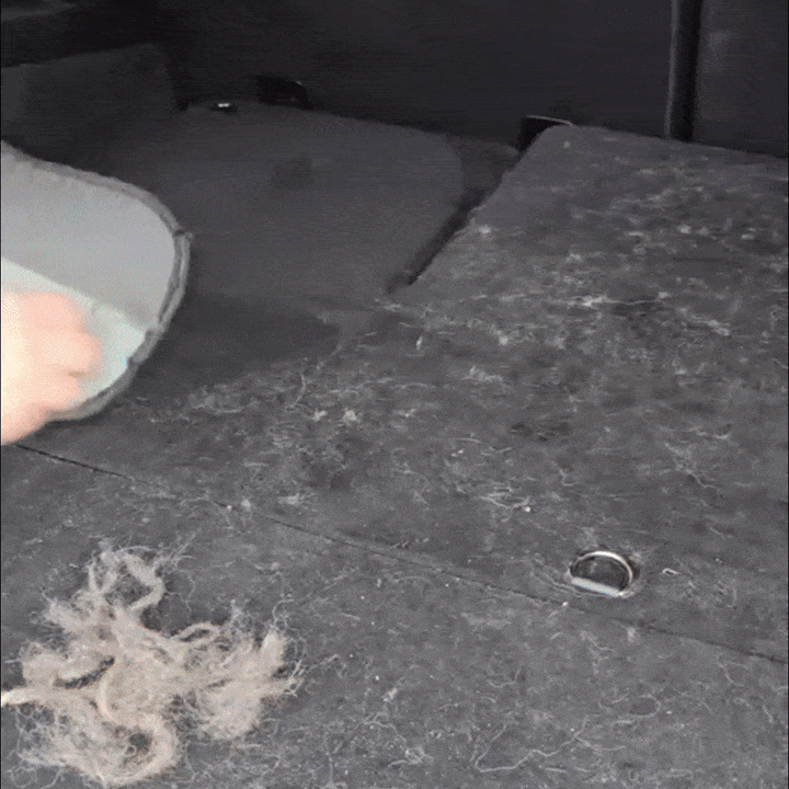 Tierhaarentferner entfernt Tierhaare von Sofa