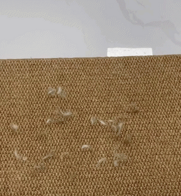 Tierhaarentferner entfernt Haare von Teppich