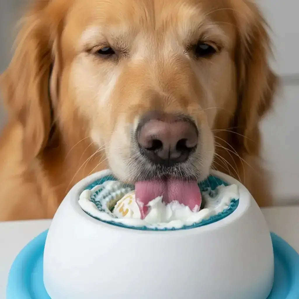 Schlecknapf für Hunde im Einsatz – Hund schleckt aus Slow Feeder Napf